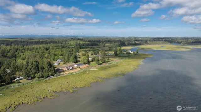 249 Burrows Rd, Hoquiam, WA 98550 - drone / aerial view of a heavily wooded area