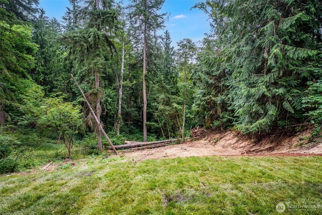7917 Decatur Ave, Clinton, WA 98236 - photo 21