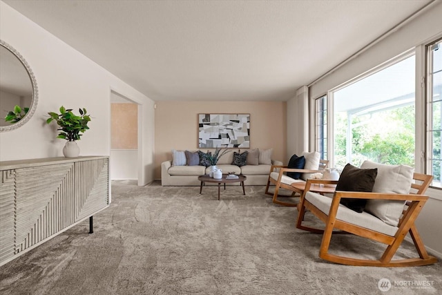 1175 SW Lopez Dr, Oak Harbor, WA 98277 - carpeted living area with healthy amount of natural light