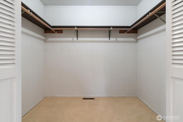 1175 SW Lopez Dr, Oak Harbor, WA 98277 - spacious closet with light floors