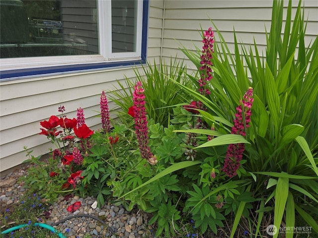 2718 N Alder St, Tacoma, WA 98407 - exterior view