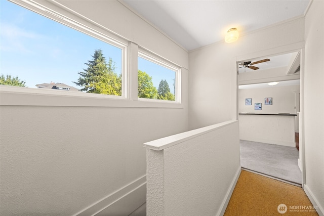 2718 N Alder St, Tacoma, WA 98407 - hallway with carpet flooring and an upstairs landing