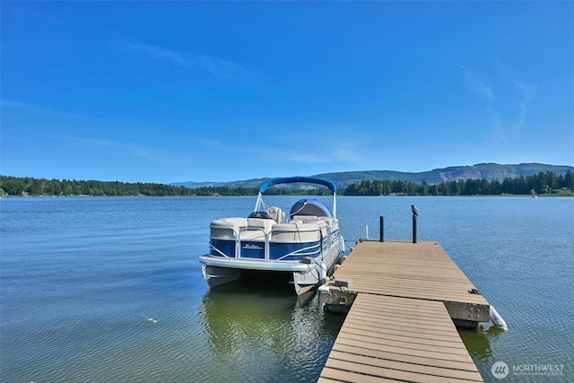 17325 Topaz Loop SE, Yelm, WA 98597 - dock featuring a water and mountain view