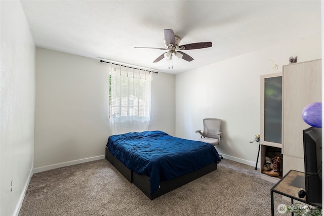 253 Kruger Rd Unit B, Onalaska, WA 98570 - bedroom with carpet and a ceiling fan