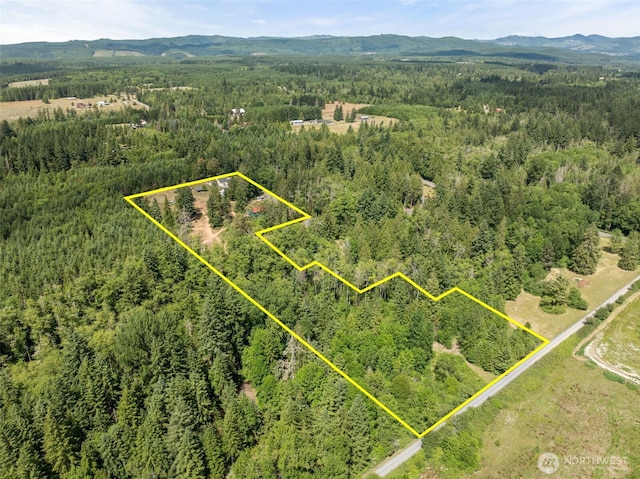 253 Kruger Rd Unit B, Onalaska, WA 98570 - aerial overview of property's location with a forest and property boundaries highlighted