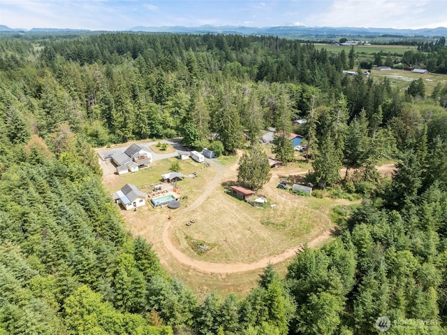 253 Kruger Rd Unit B, Onalaska, WA 98570 - aerial view of a forest
