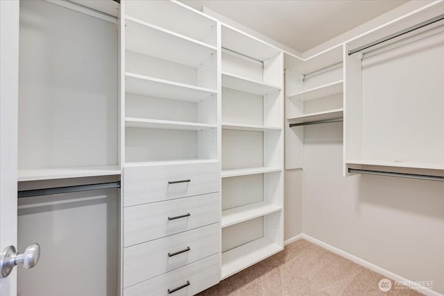 16311 5th Dr SE, Bothell, WA 98012 - walk in closet with carpet