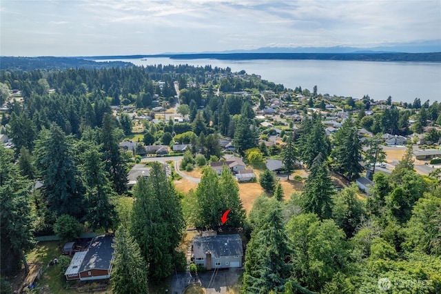 824 SW 301st Pl, Federal Way, WA 98023 - view of property location with a large body of water