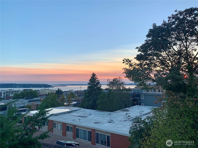 815 2nd Ave N Unit C, Seattle, WA 98109 - photo 38