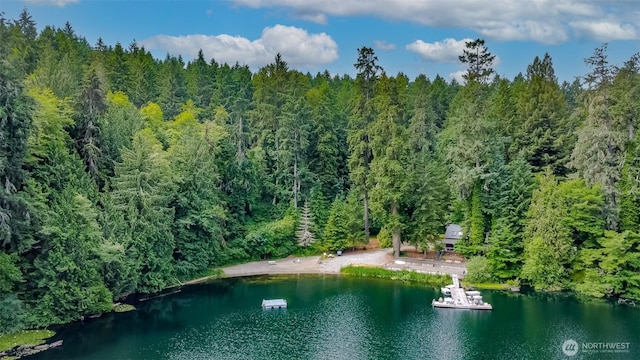 1546 Reservation Rd SE Unit 213, Olympia, WA 98513 - aerial view of property's location featuring a nearby body of water