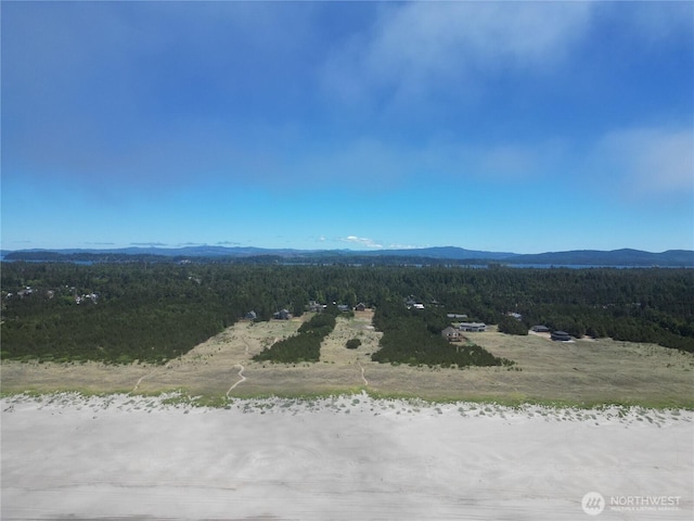 701 Shoreview Dr N, Long Beach, WA 98631 - photo 40