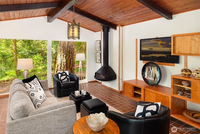 14460 NE 16th Pl, Bellevue, WA 98007 - living room with wooden ceiling and a wood stove