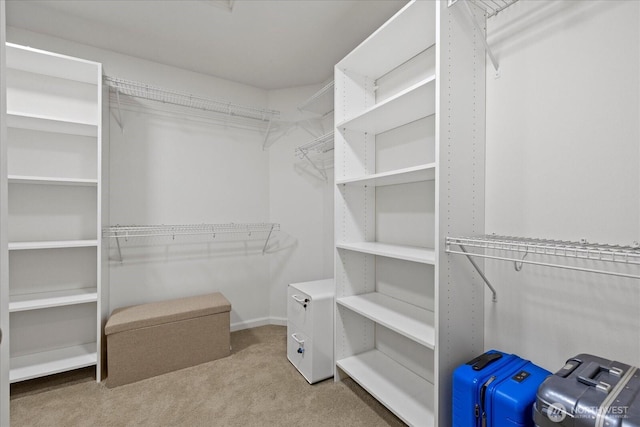 8132 NE 117th Pl, Kirkland, WA 98034 - walk in closet with carpet floors