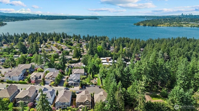 8132 NE 117th Pl, Kirkland, WA 98034 - aerial view of residential area with a nearby body of water