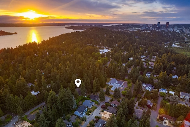 10801 SE 28th St, Bellevue, WA 98004 - aerial overview of property's location with a forest and a large body of water