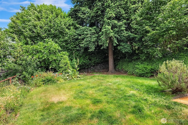 4886 24th Ave S, Seattle, WA 98108 - view of green lawn