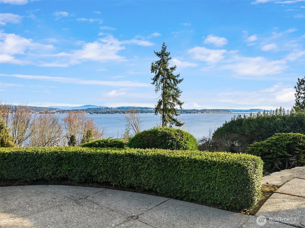 6405 NE Windermere Rd, Seattle, WA 98105 - water view