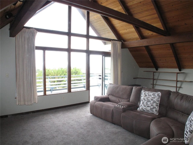 33610 J Pl, Ocean Park, WA 98640 - living area featuring wooden ceiling and carpet flooring