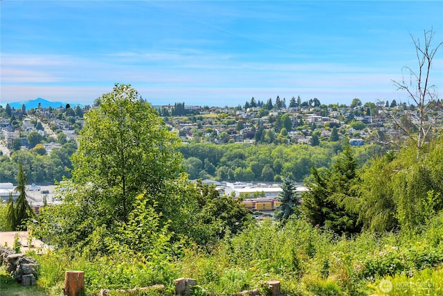 1916 11th Ave W, Seattle, WA 98119 - aerial view