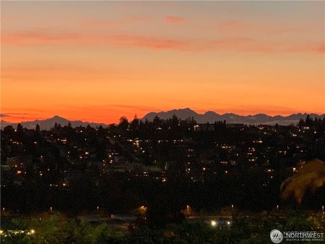 1916 11th Ave W, Seattle, WA 98119 - mountain view