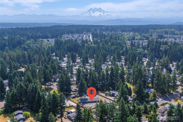 11101 124th St E, Puyallup, WA 98374 - photo 6