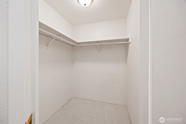 9522 1st Ave NE Unit B6, Seattle, WA 98115 - spacious closet with carpet flooring