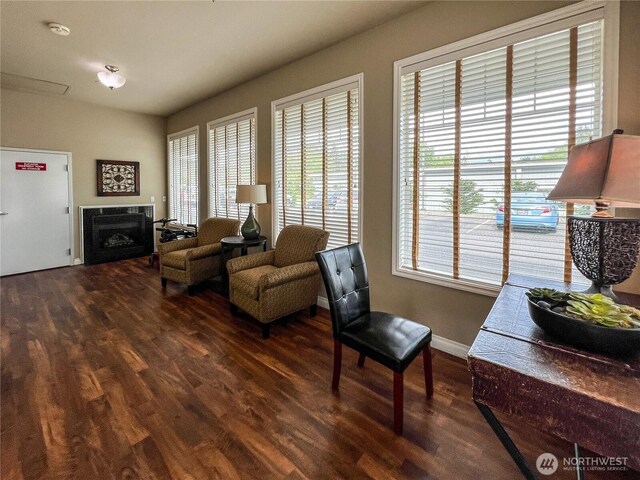4823 Alderson Rd Unit 207, Blaine, WA 98230 - living area featuring wood finished floors, healthy amount of natural light, and a fireplace