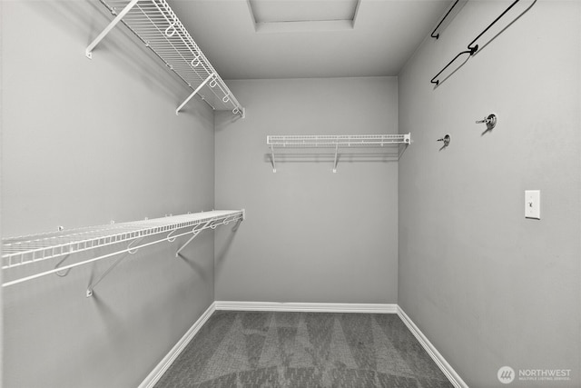 32216 Bruckners Way, Black Diamond, WA 98010 - spacious closet featuring carpet floors and attic access