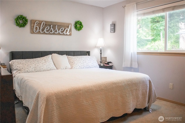 24320 226th Ave SE, Maple Valley, WA 98038 - bedroom with carpet floors and baseboards