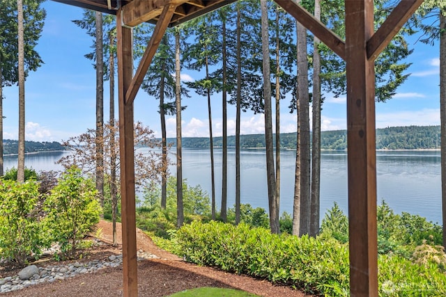 801 139th Street Ct NW, Gig Harbor, WA 98332 - photo 35