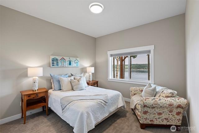 801 139th Street Ct NW, Gig Harbor, WA 98332 - photo 21