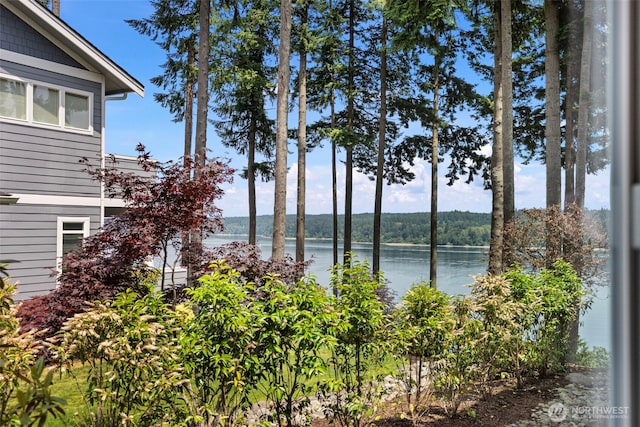 801 139th Street Ct NW, Gig Harbor, WA 98332 - photo 34