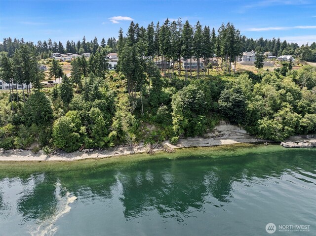 801 139th Street Ct NW, Gig Harbor, WA 98332 - photo 40