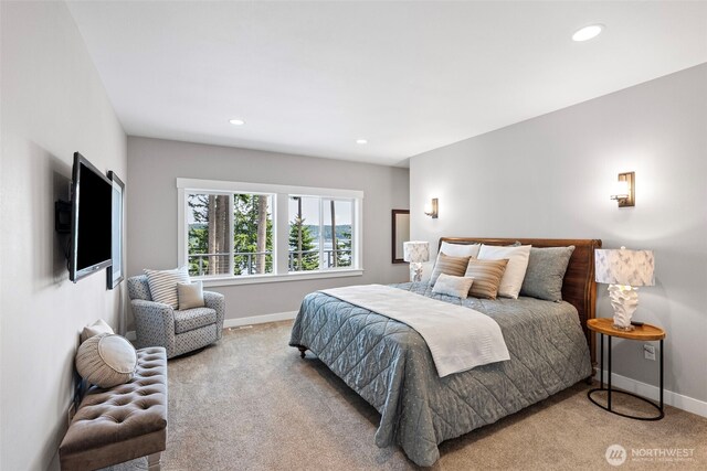 801 139th Street Ct NW, Gig Harbor, WA 98332 - photo 16