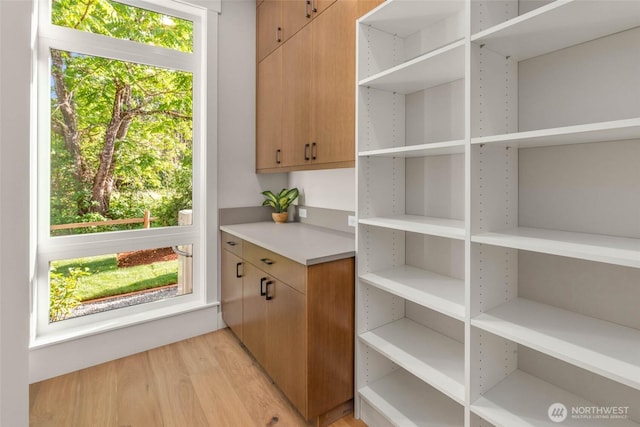 21025 SE 80th St, Issaquah, WA 98027 - view of pantry