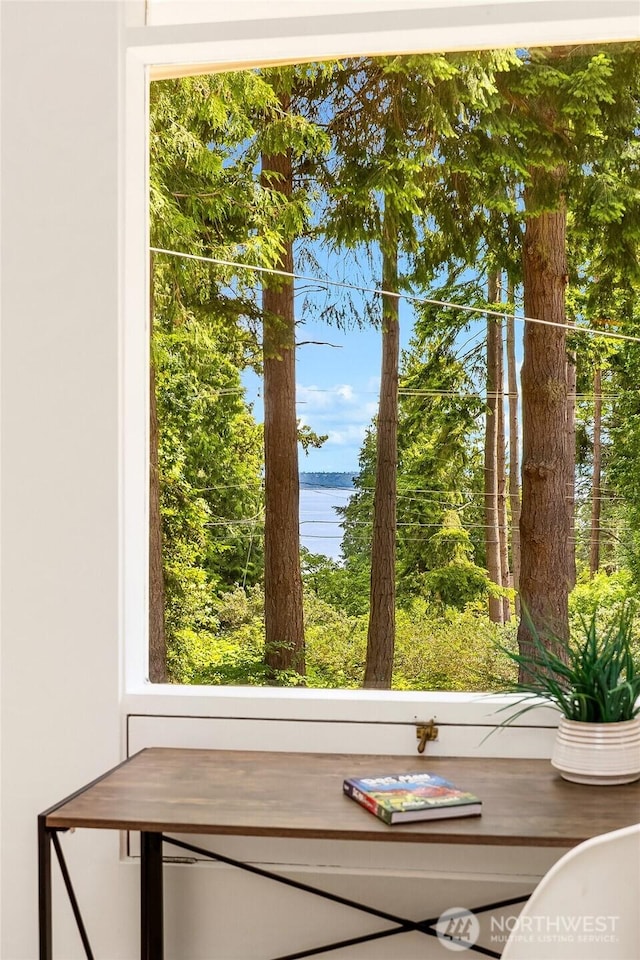 8975 Ferncliff Ave NE, Bainbridge Island, WA 98110 - photo 5