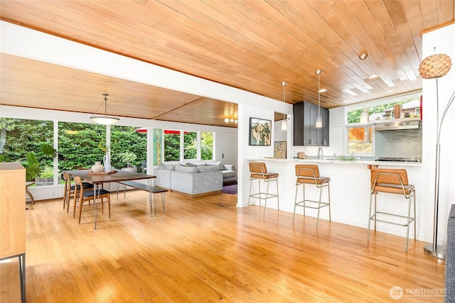 8975 Ferncliff Ave NE, Bainbridge Island, WA 98110 - photo 10