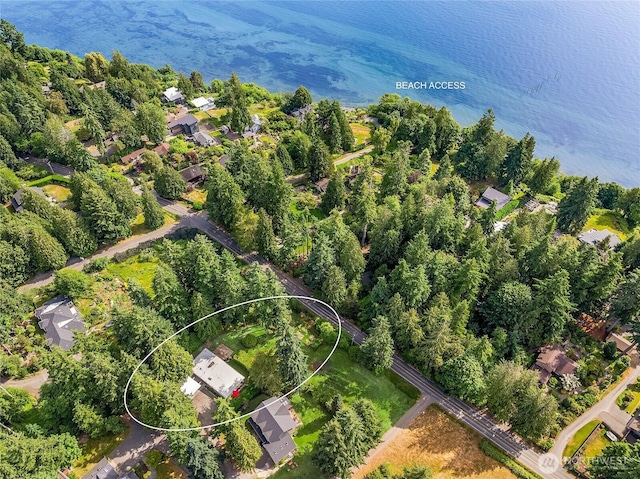 8975 Ferncliff Ave NE, Bainbridge Island, WA 98110 - photo 38