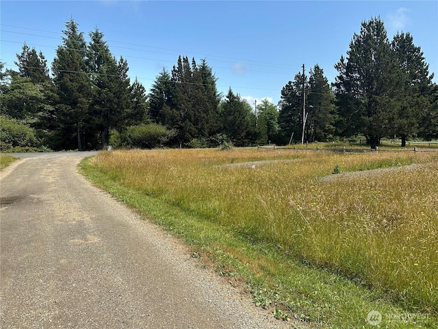 15115 Pacific, Long Beach, WA 98631 - photo 3