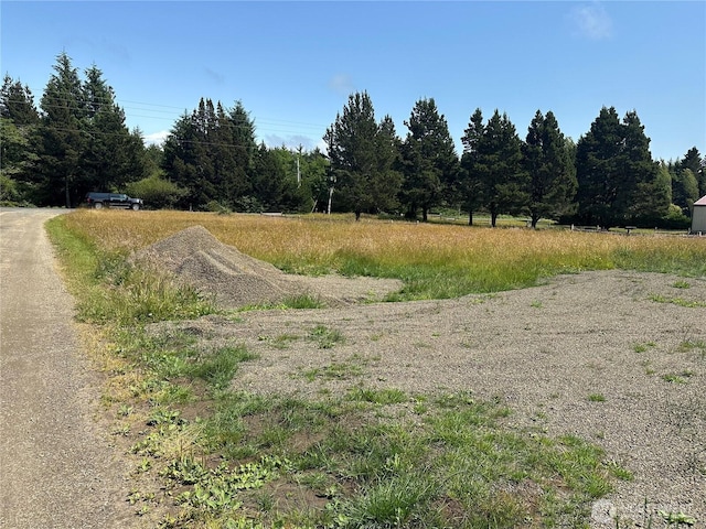 15115 Pacific, Long Beach, WA 98631 - photo 5