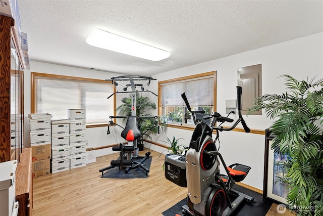 134 Robin Ln, Port Ludlow, WA 98365 - exercise room with wood finished floors, a textured ceiling, and plenty of natural light