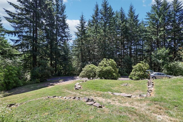 18613 NE Hooper Wollam Rd, Amboy, WA 98601 - photo 30