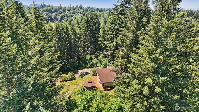 18613 NE Hooper Wollam Rd, Amboy, WA 98601 - photo 34