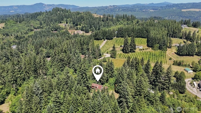 18613 NE Hooper Wollam Rd, Amboy, WA 98601 - photo 35