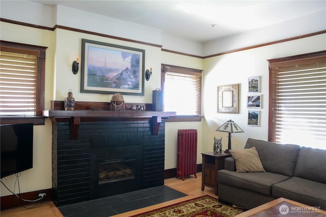 202 E 3rd Ave, Ritzville, WA 99169 - living room with wood finished floors, radiator heating unit, and a brick fireplace