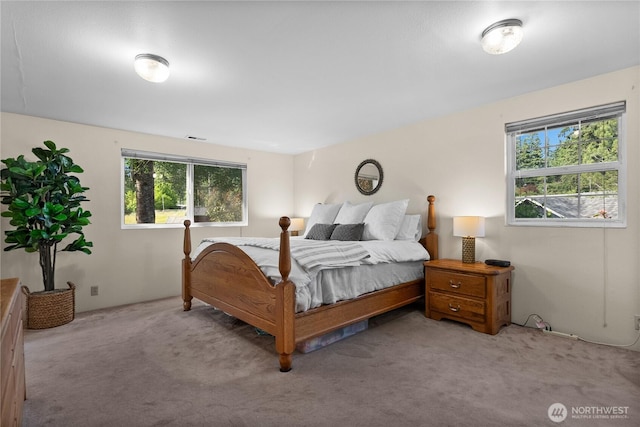 11810 County Line Rd E, Edgewood, WA 98372 - bedroom featuring multiple windows and light colored carpet