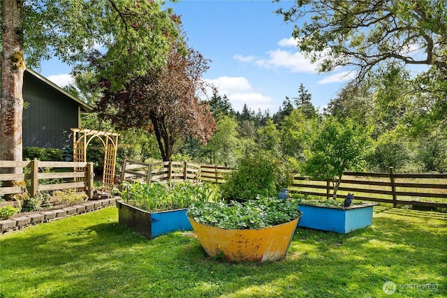 11810 County Line Rd E, Edgewood, WA 98372 - view of yard featuring a vegetable garden