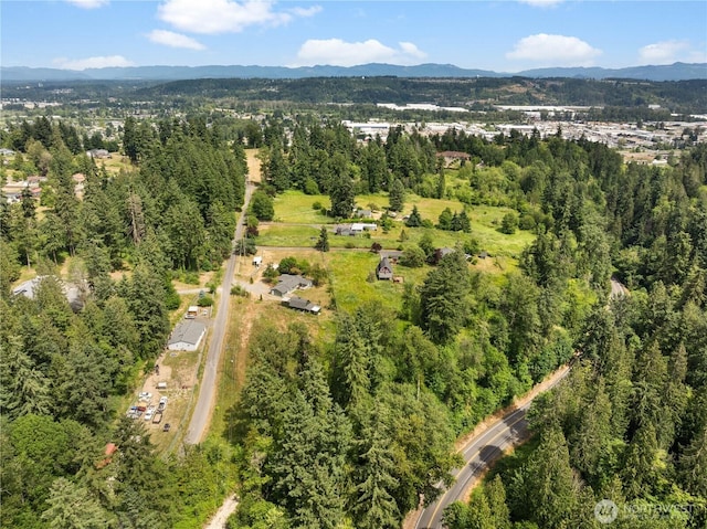 11810 County Line Rd E, Edgewood, WA 98372 - aerial overview of property's location featuring a mountain backdrop