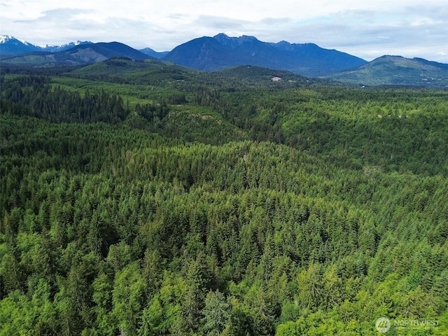9999 Blue Mountain Rd, Port Angeles, WA 98362 - photo 1