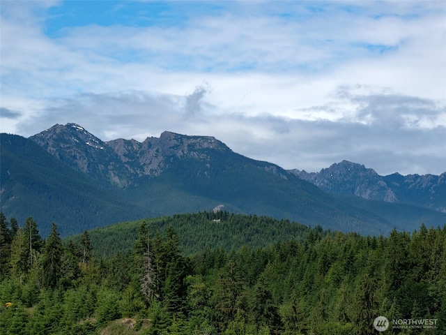 9999 Blue Mountain Rd, Port Angeles, WA 98362 - photo 3